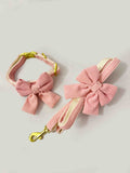 Conjunto collar y correa con lazo