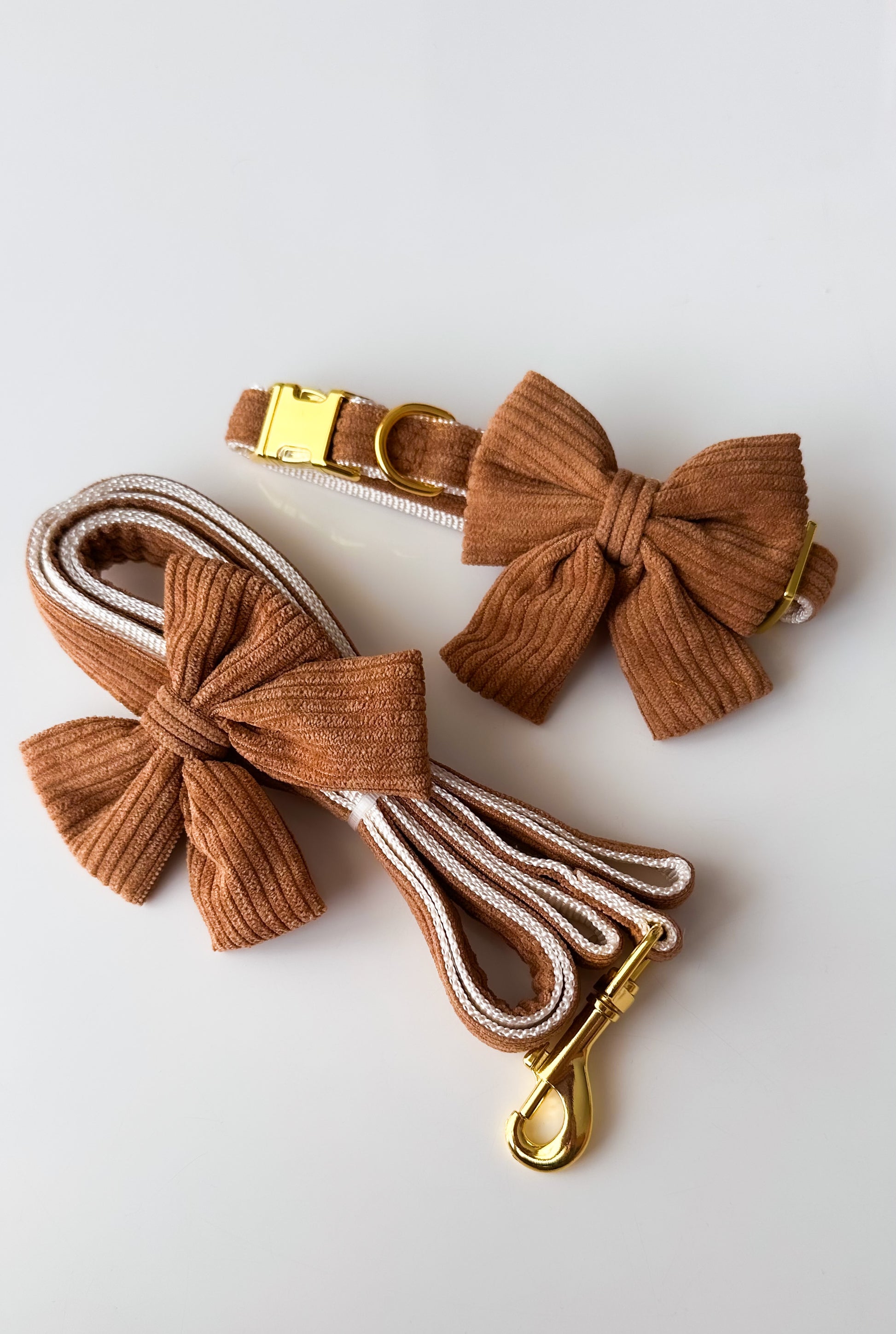 Conjunto collar y correa con lazo