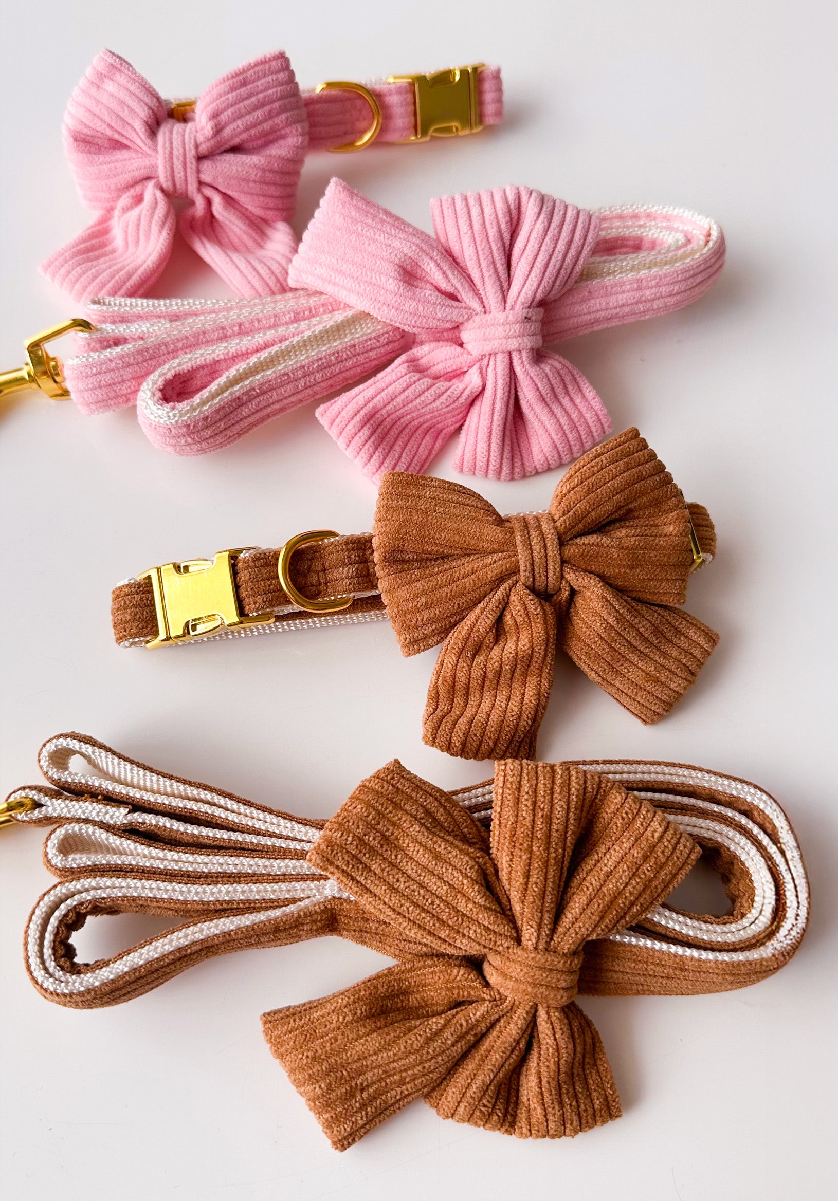 Conjunto collar y correa con lazo